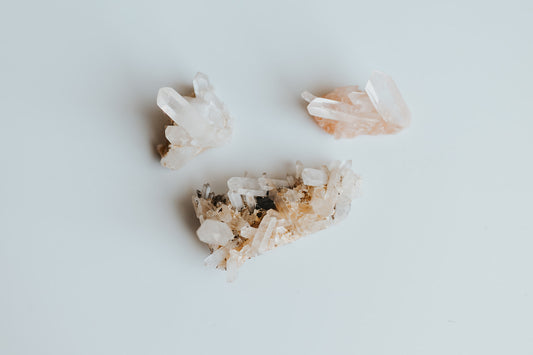 Earth Quest Box - Quest #2 (4 Month Subscription)