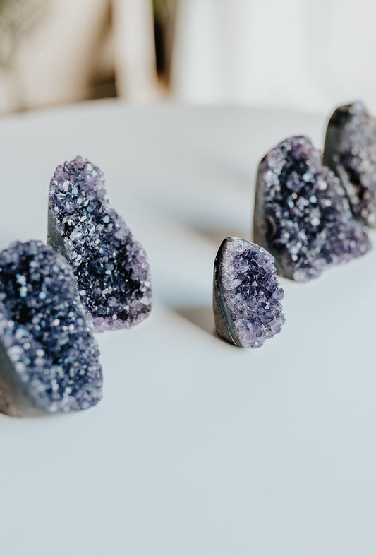 Amethyst Standing Cluster Specimen with Collector Card (4"x6")