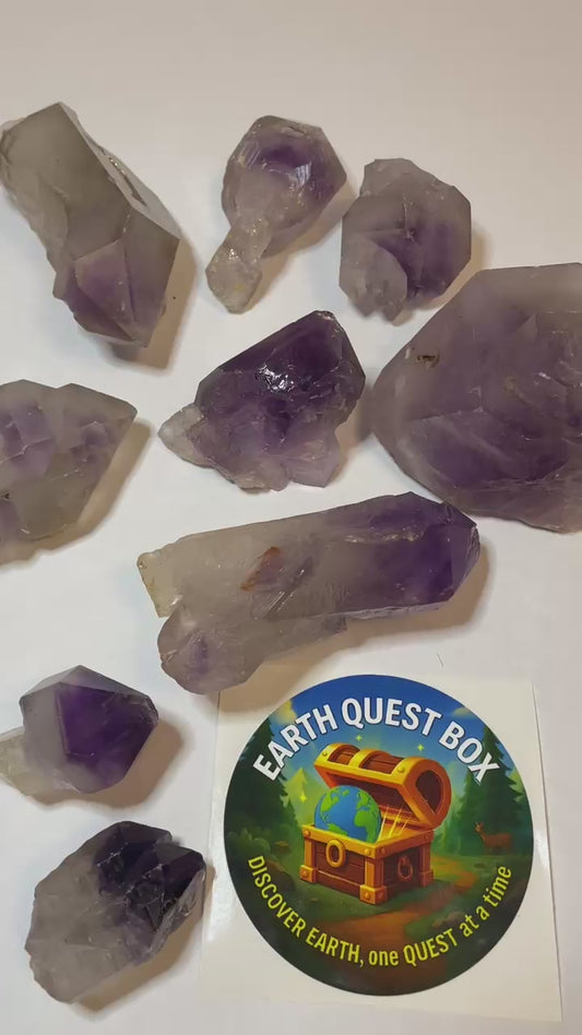 Amethyst Crystal Specimen with Collector Card (4"x6")