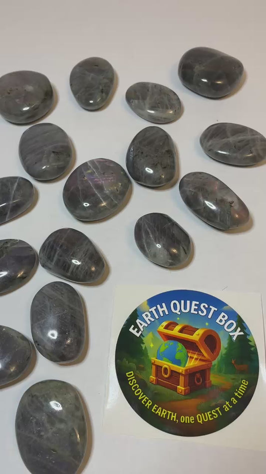 Labradorite Specimen with Collector Card (4"x6")