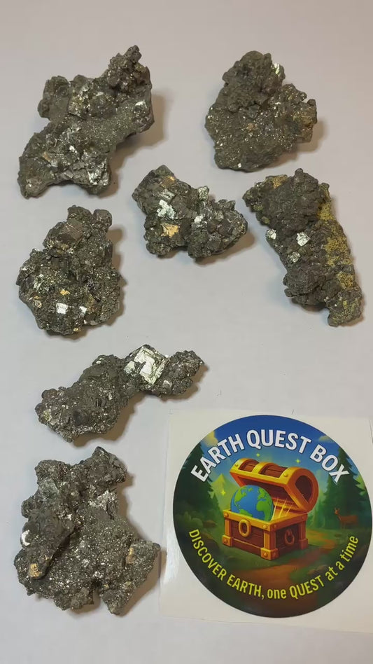 Pyrite Specimen with Collector Card (4"x6")