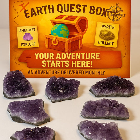 Amethyst Cluster Specimen with Collector Card (4"x6")