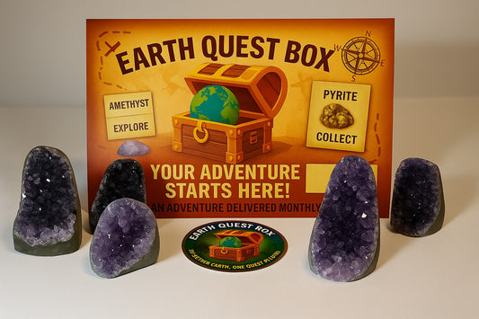 Amethyst Standing Cluster Specimen with Collector Card (4"x6")