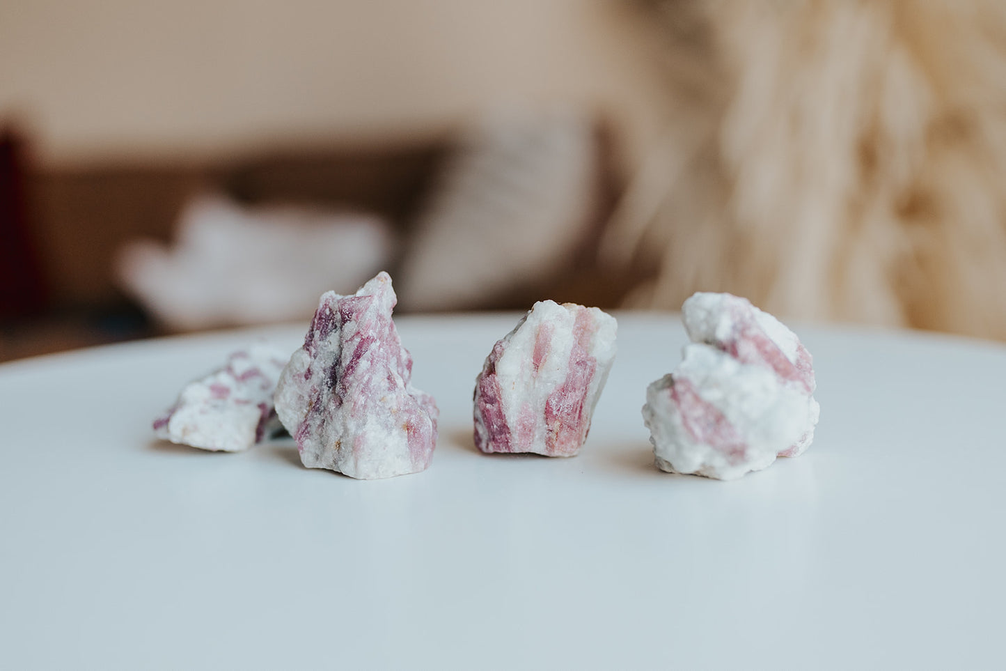 Earth Quest Box - Quest #2 (4 Month Subscription)