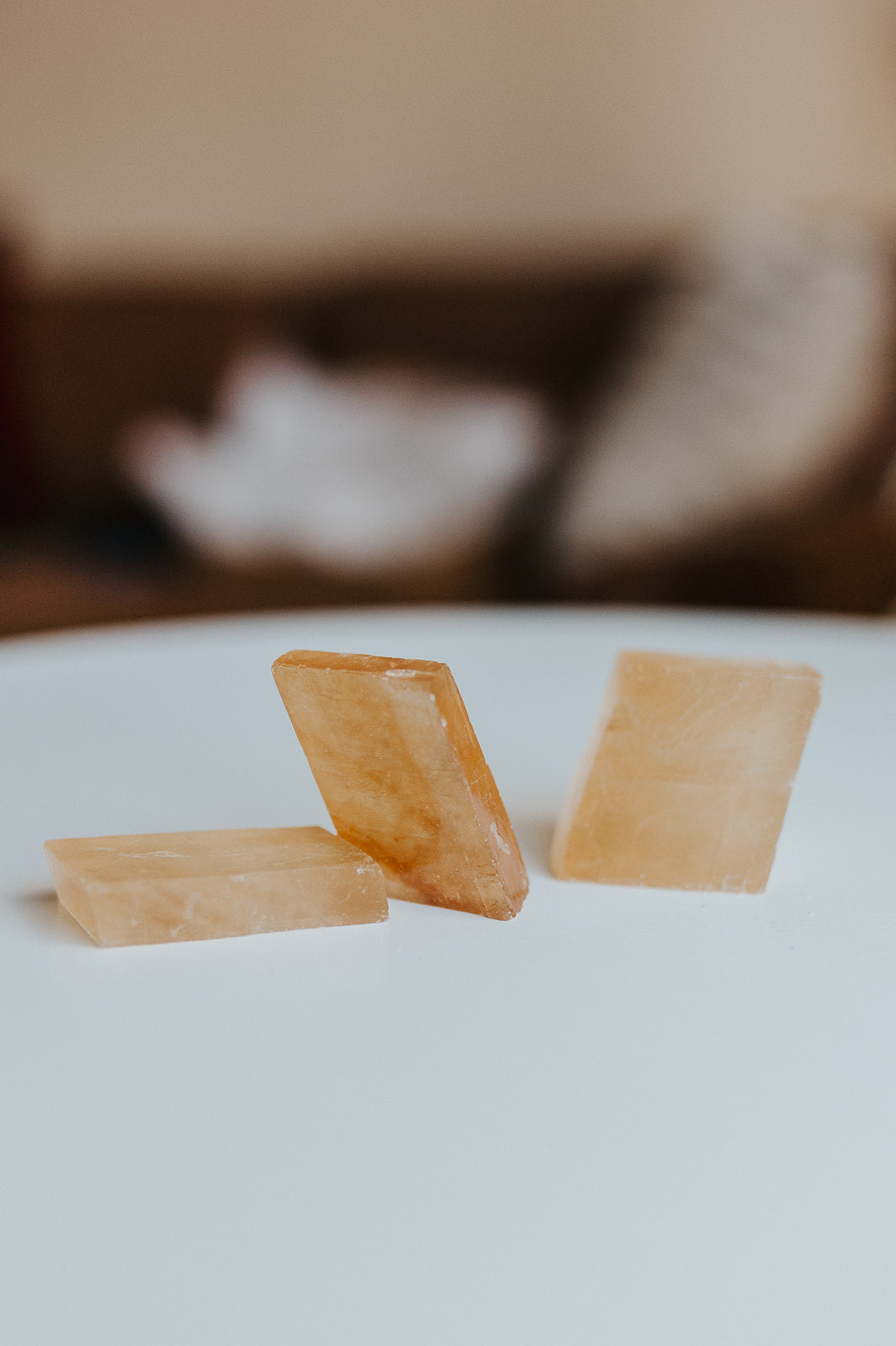 Earth Quest Box - Quest #2 (4 Month Subscription)