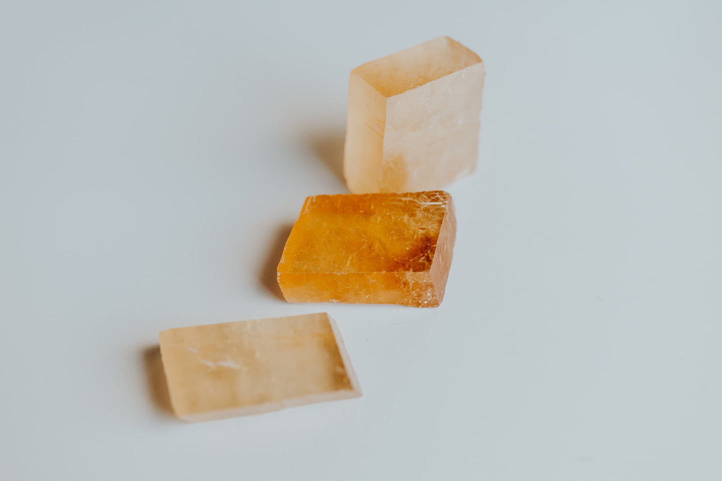 Earth Quest Box - Quest #2 (4 Month Subscription)