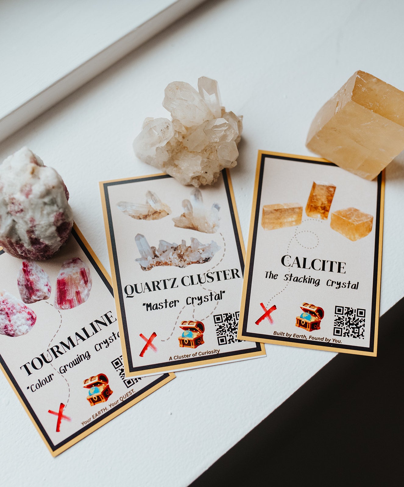 Earth Quest Box - Quest 1: New Discoveries