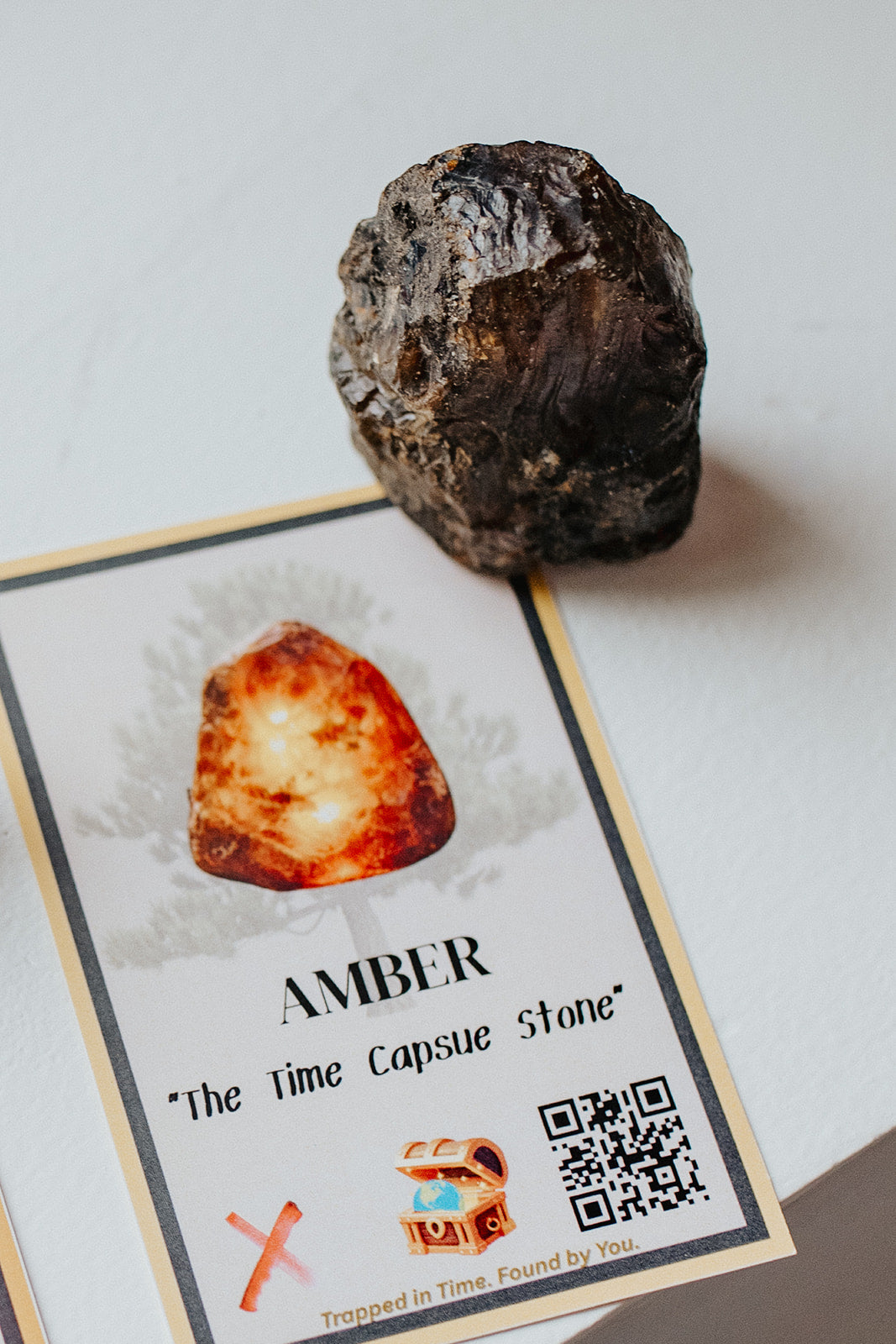 Earth Quest Box – Quest 3: Earth’s Power