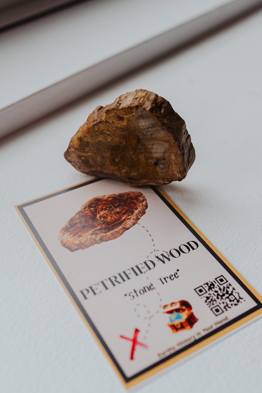 Earth Quest Box – Quest 3: Earth’s Power