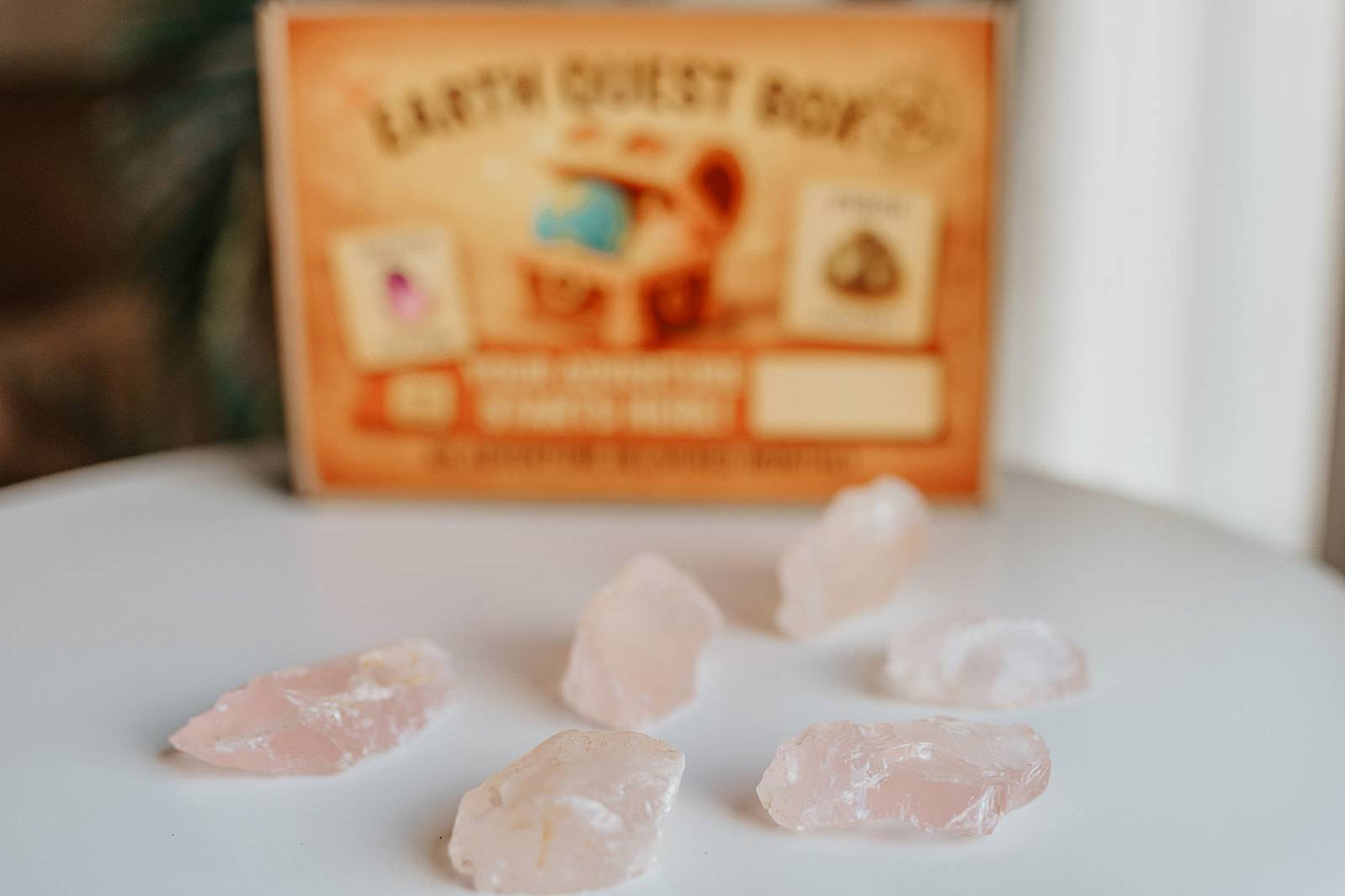 Earth Quest Box - Quest #1 (4 month Subscription)