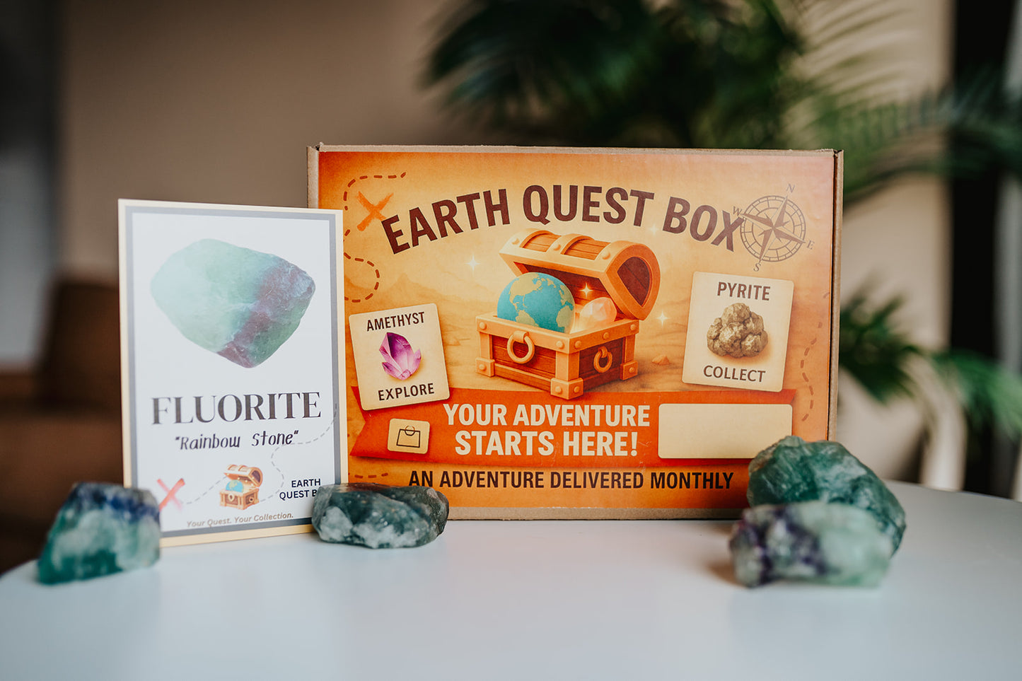 Fluorite Specimen with Collector Card (4"x6")