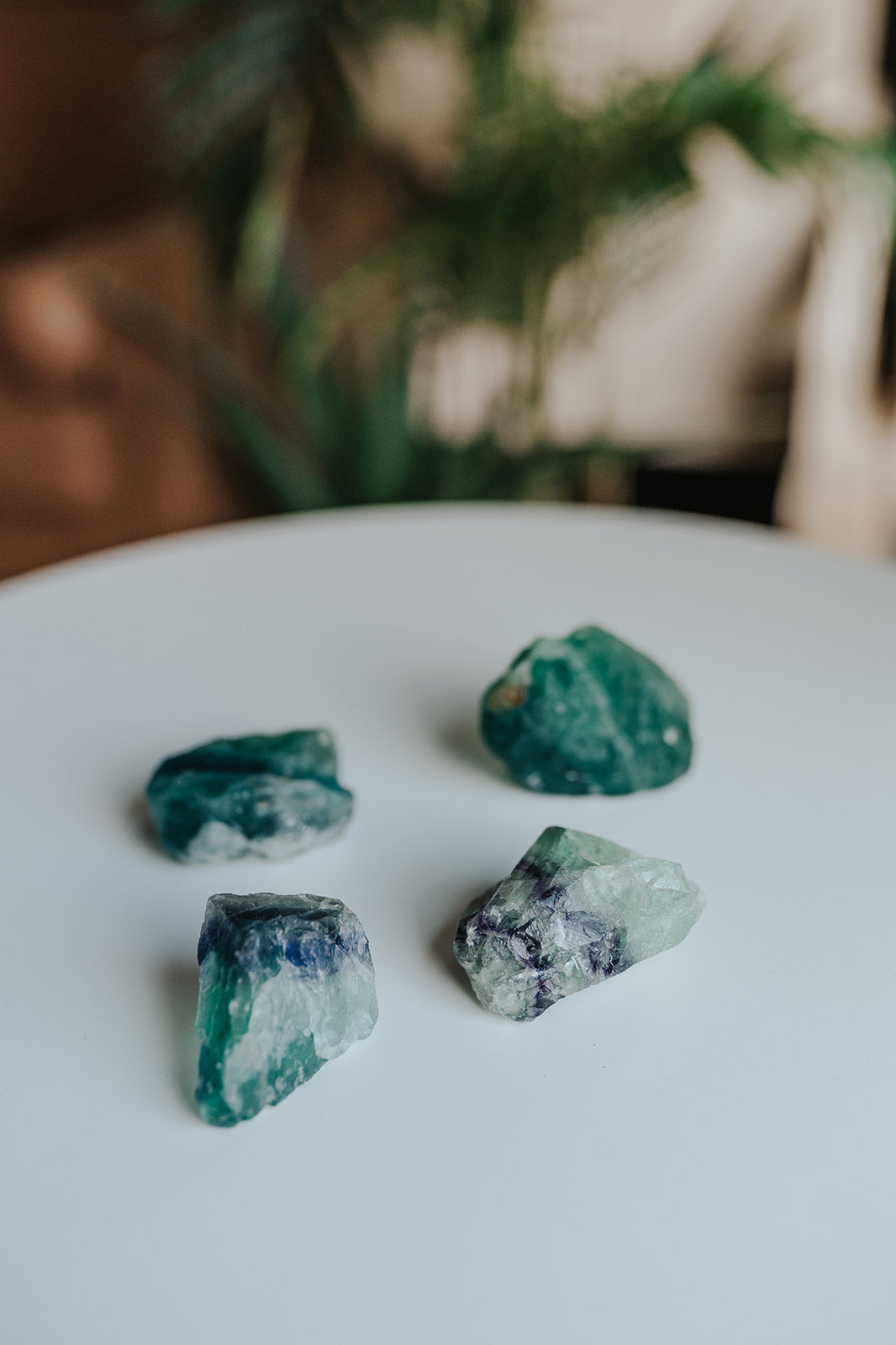 Fluorite Specimen with Collector Card (4"x6")