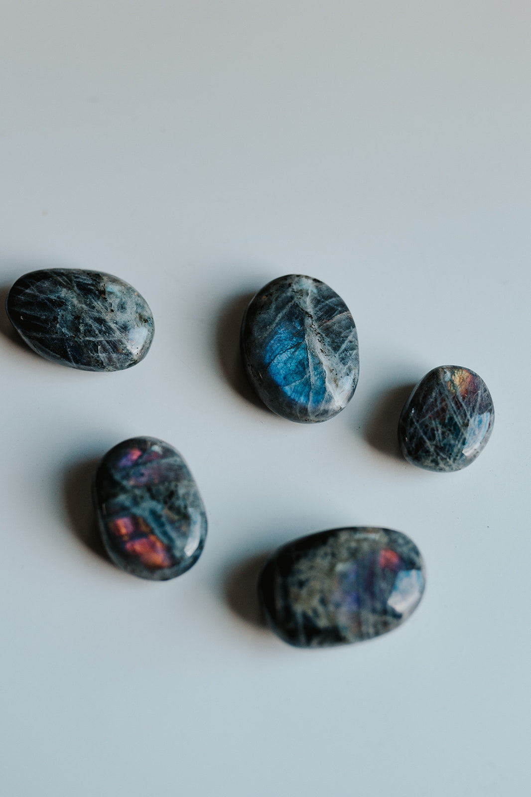 Labradorite Specimen with Collector Card (4"x6")