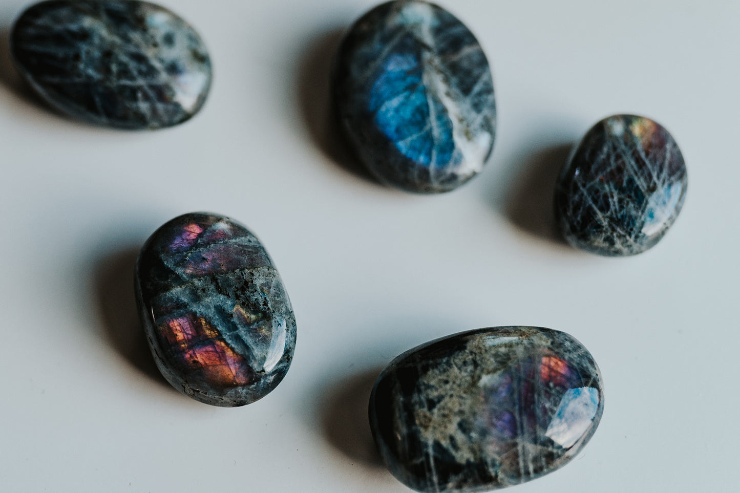 Labradorite Specimen with Collector Card (4"x6")
