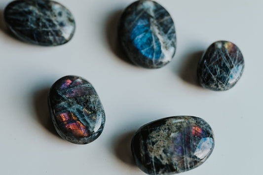 Labradorite Specimen with Collector Card (4"x6")