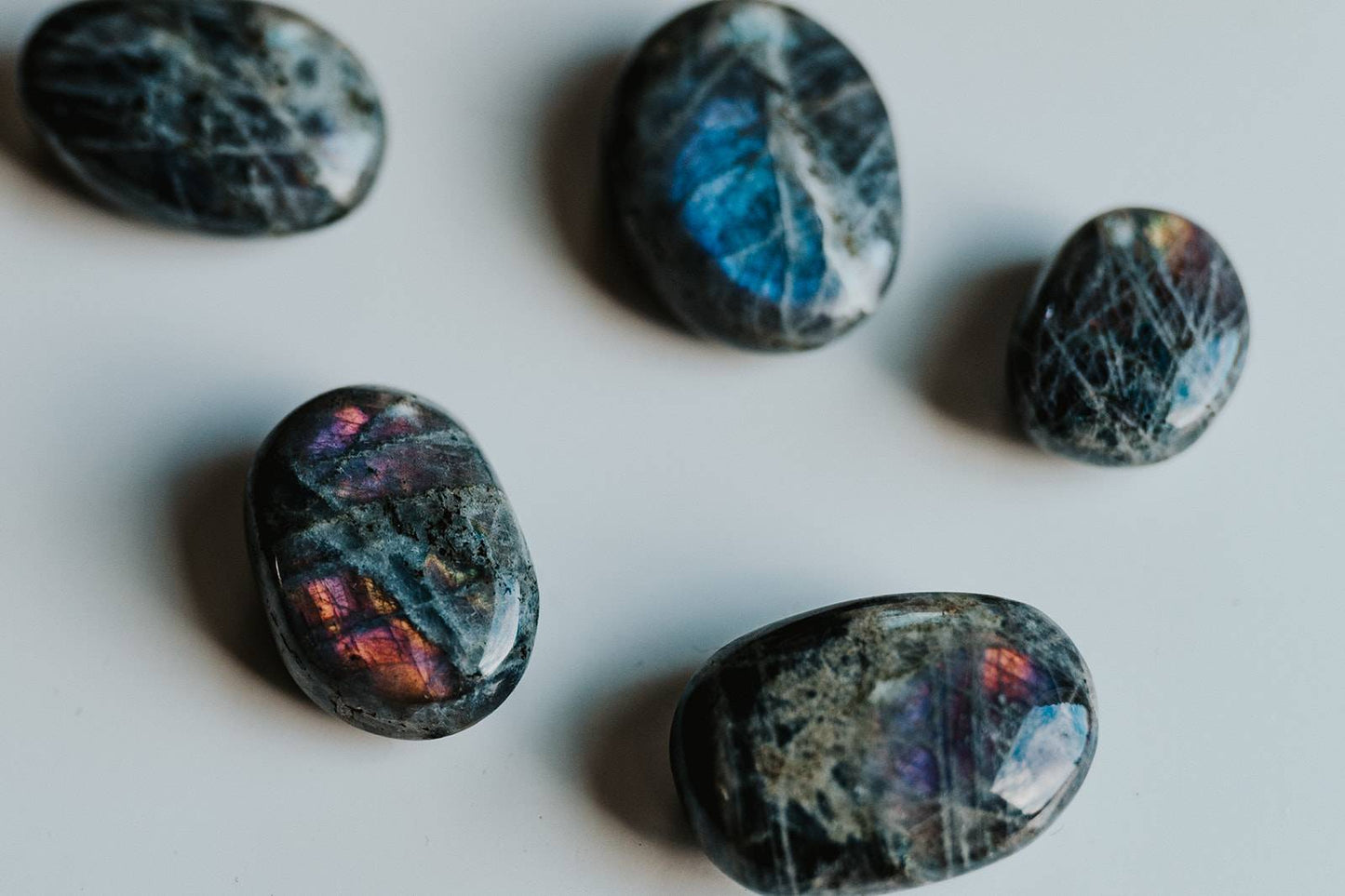 Earth Quest Box - Quest #1 (4 month Subscription)