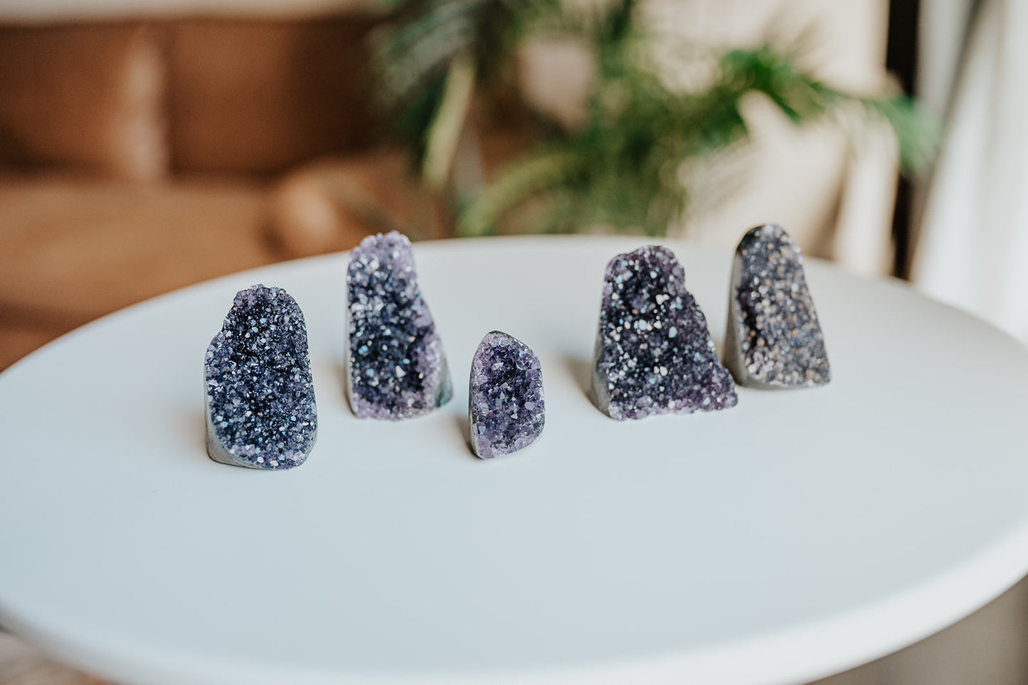 Amethyst Standing Cluster Specimen with Collector Card (4"x6")