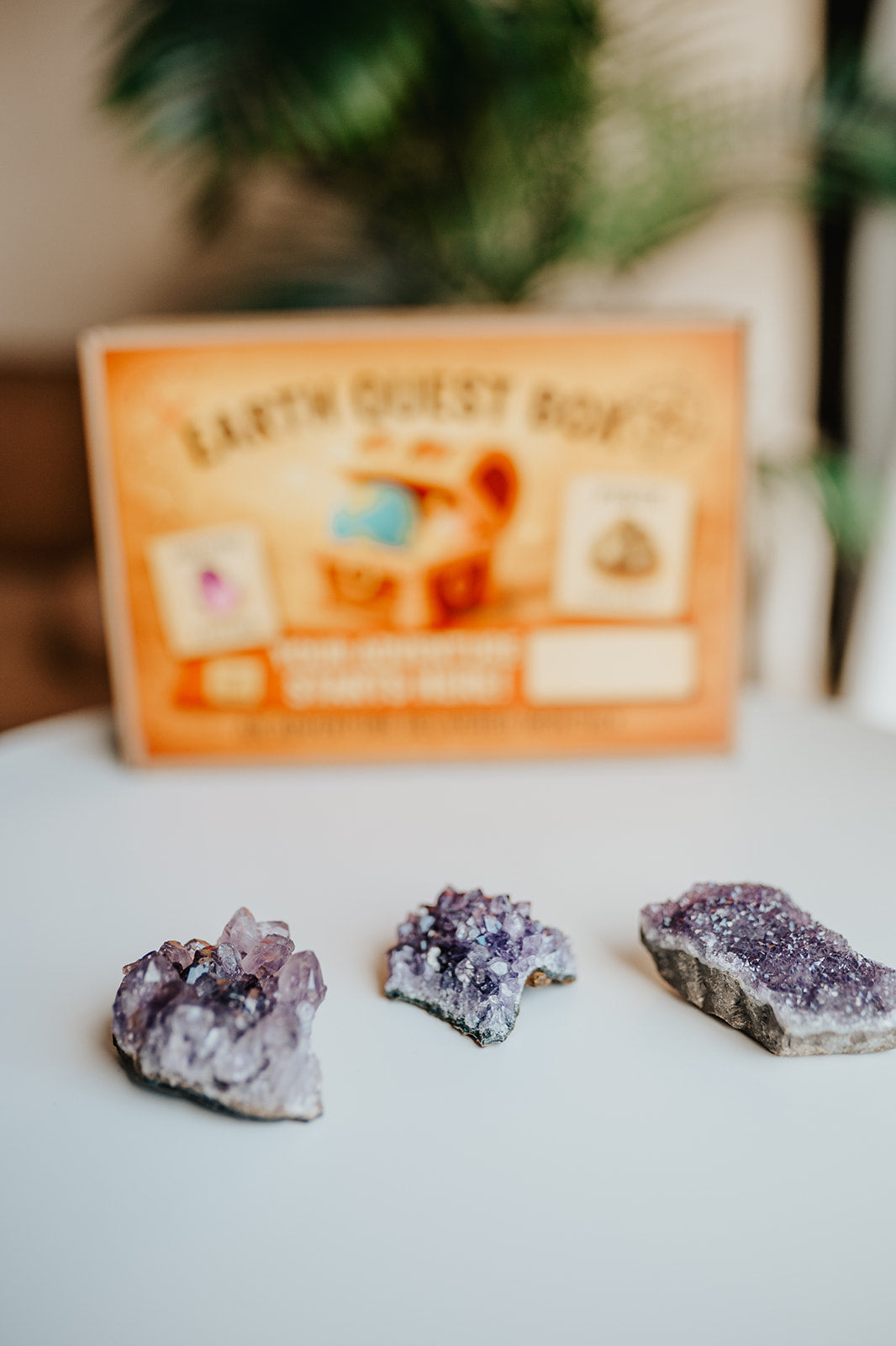 Amethyst Cluster Specimen with Collector Card (4"x6")