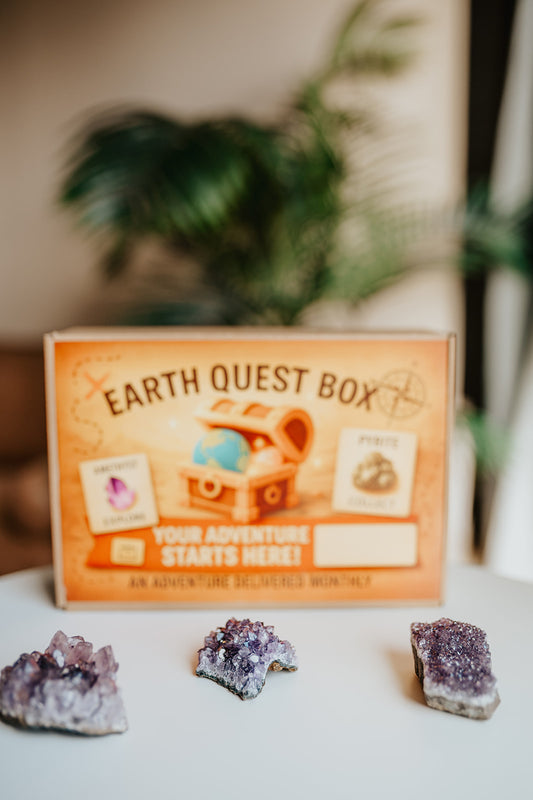 Amethyst Cluster Specimen with Collector Card (4"x6")