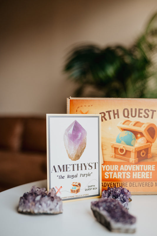 Amethyst Cluster Specimen with Collector Card (4"x6")