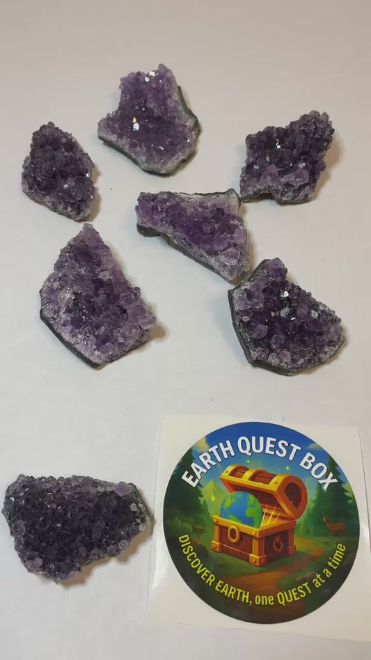 Amethyst Cluster Specimen with Collector Card (4"x6")
