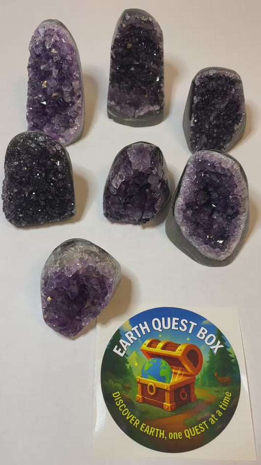 Amethyst Standing Cluster Specimen with Collector Card (4"x6")